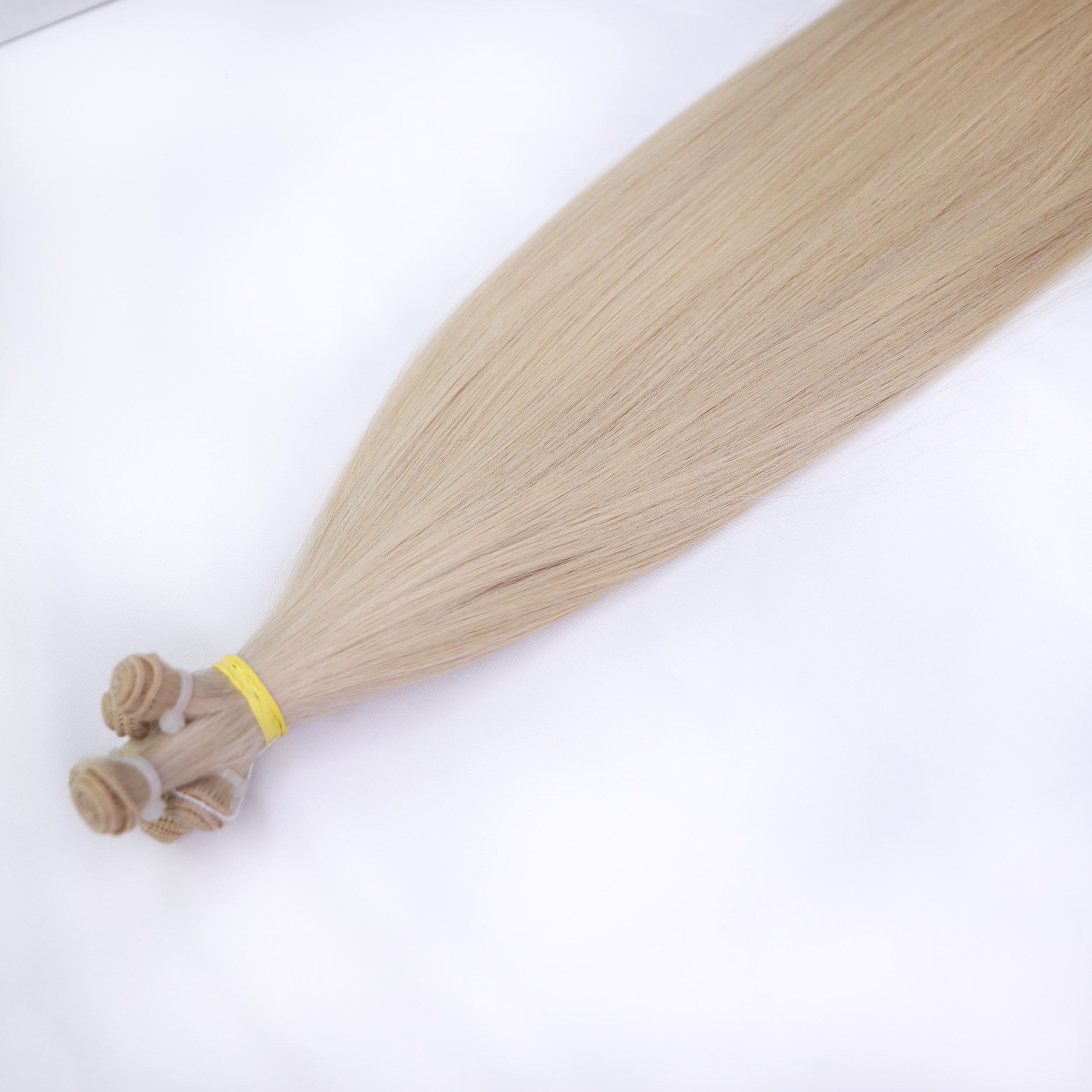 Hand Tied Extensions #24